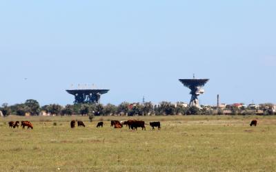 Прикрепленное изображение: IMG_3982.JPG